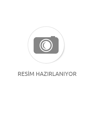 Siyah Isıya Dayanıklı Boya
